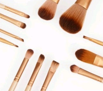 12 Makeup Brush Sets (Iron Box)