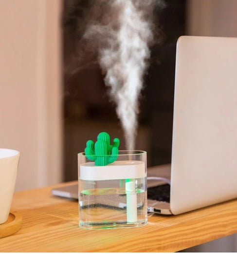 Transparent Landscape Cactus Portable Humidifier