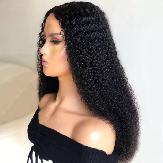 Brazilian Remy Kinky Curly Lace Front Wig